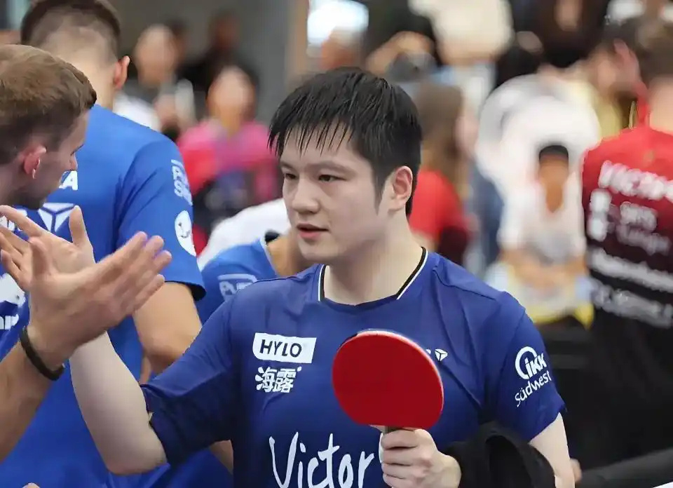 可以说是扬, 现在, 球迷 可以说是扬, 现在, 球迷