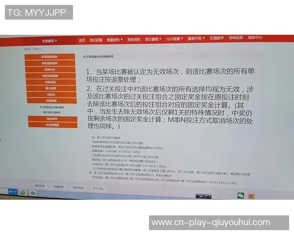 帕德博恩与海登海姆延期比赛的原因与影响分析